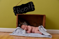 Baby Reed Shoot